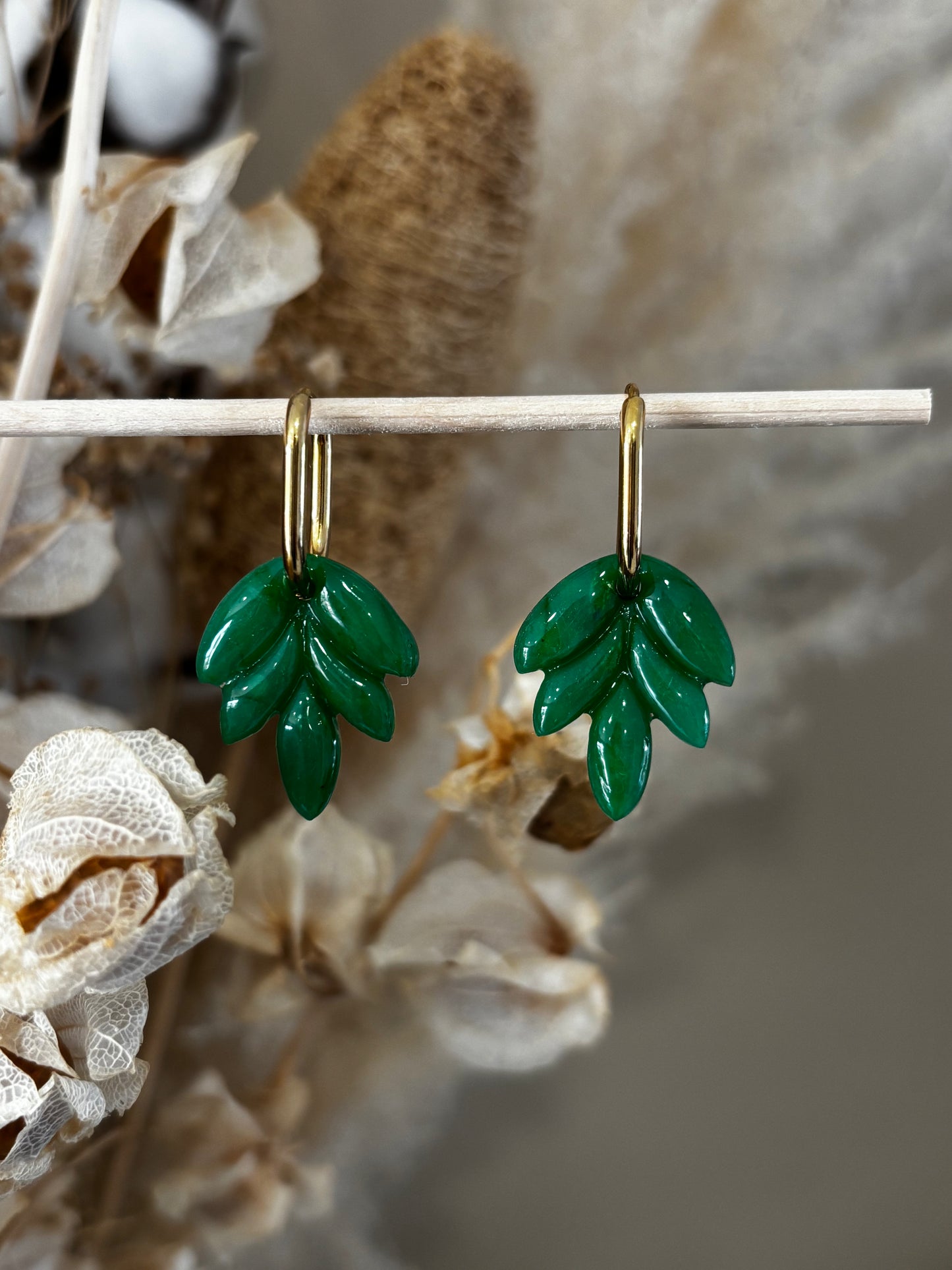 Pampilles Feuilles