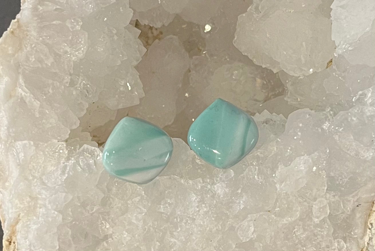 Les Boucles D'oreilles puces en pate polymere
