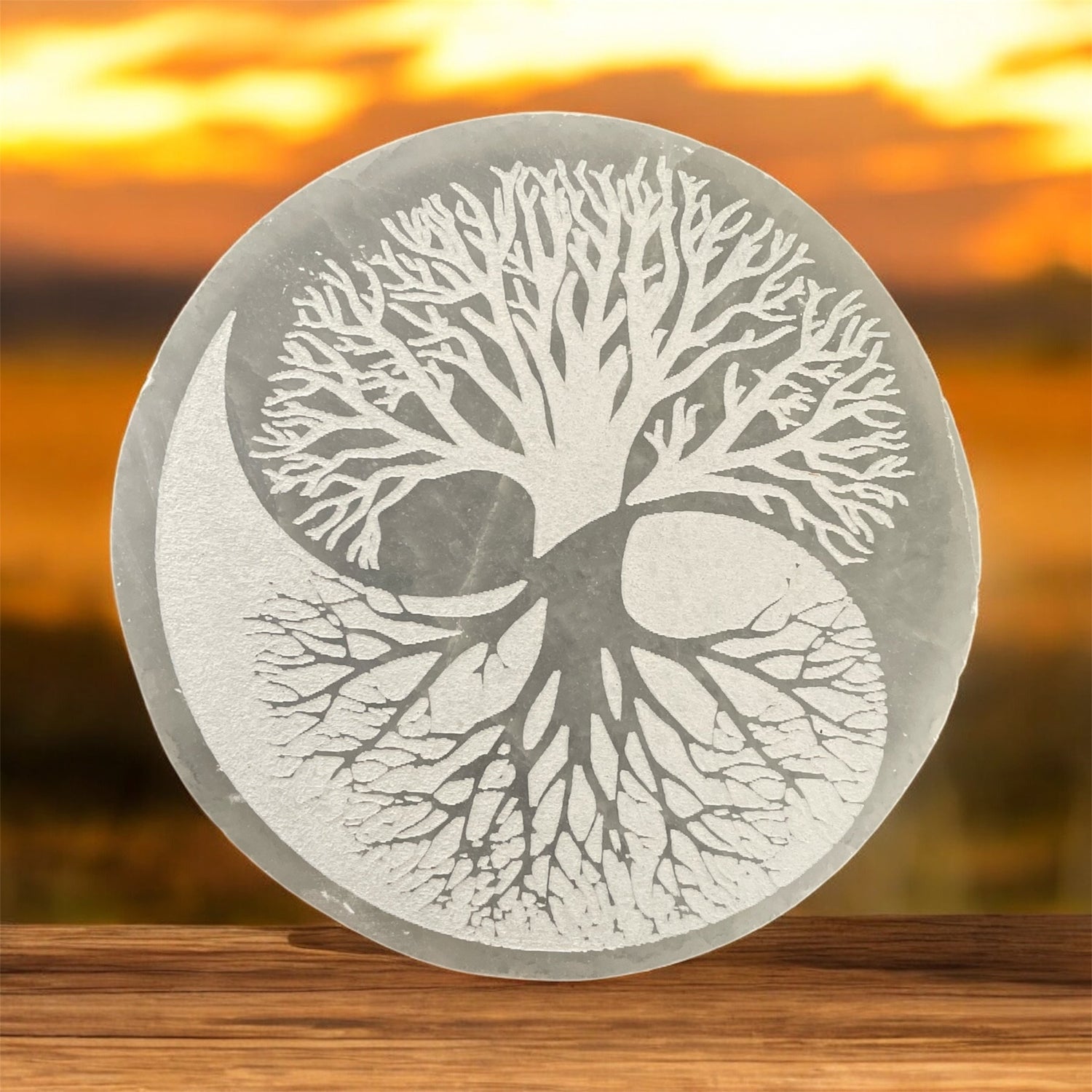Plaques de rechargement